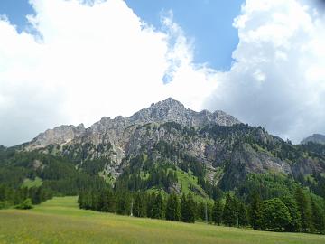 Jarvo (139)